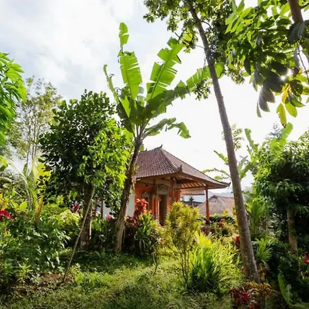 Lila Stana - Sidemen Homestay